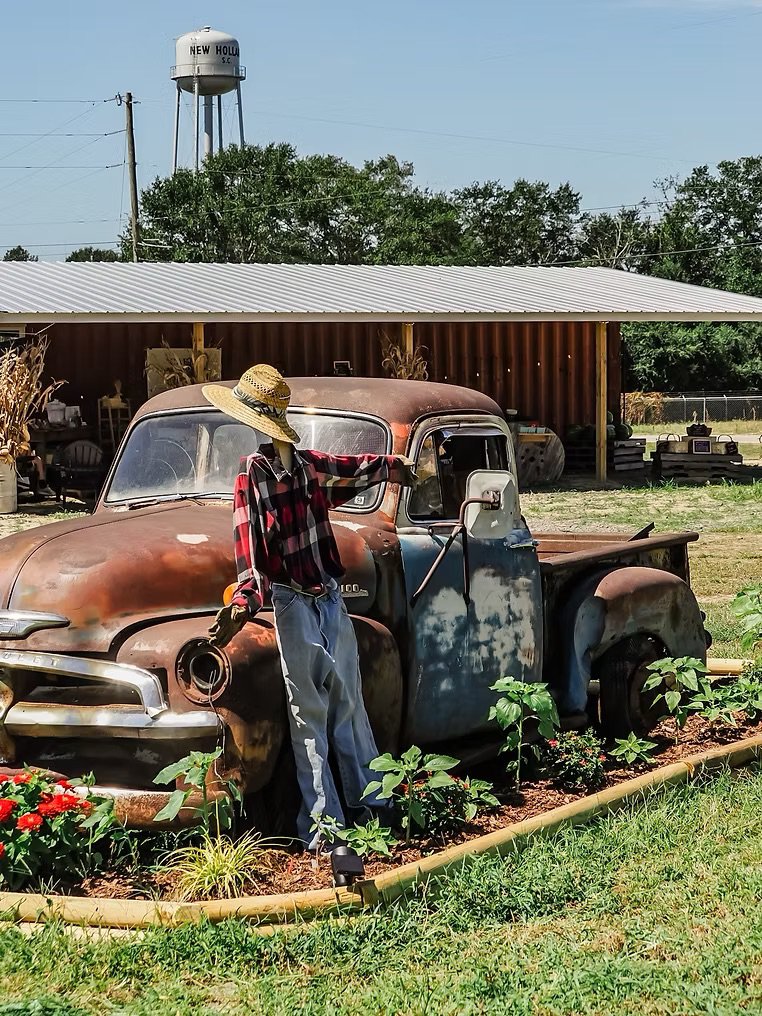 Carey's Farmstand